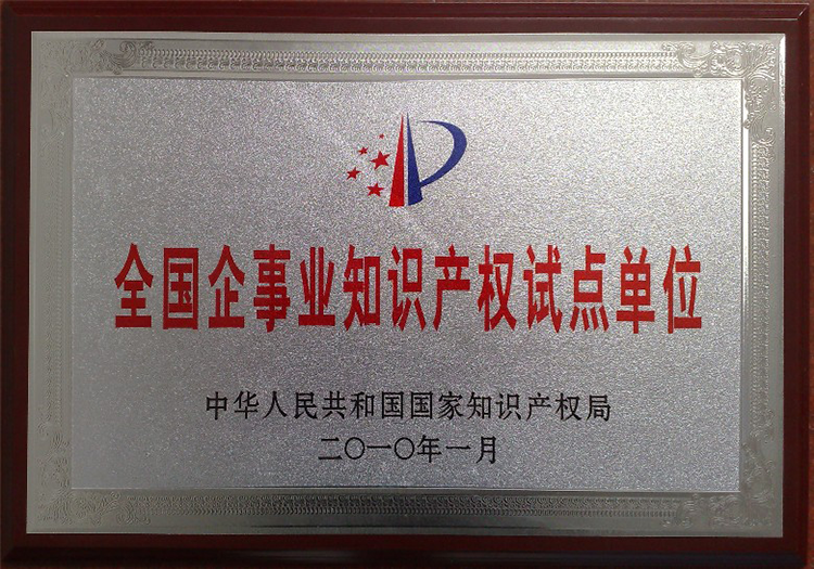 知识产权试点单位铜牌_副本